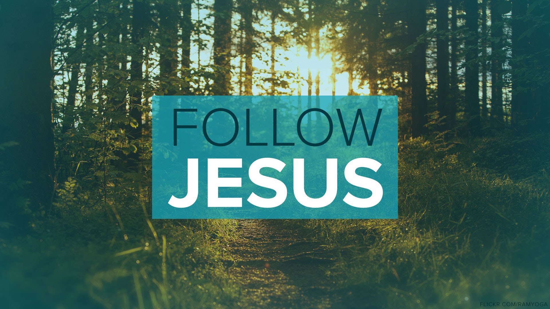 As YOU Follow Jesus, Let Him lead YOU To God’s Will!